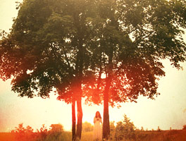 永久授权不过期的永久免费轰炸